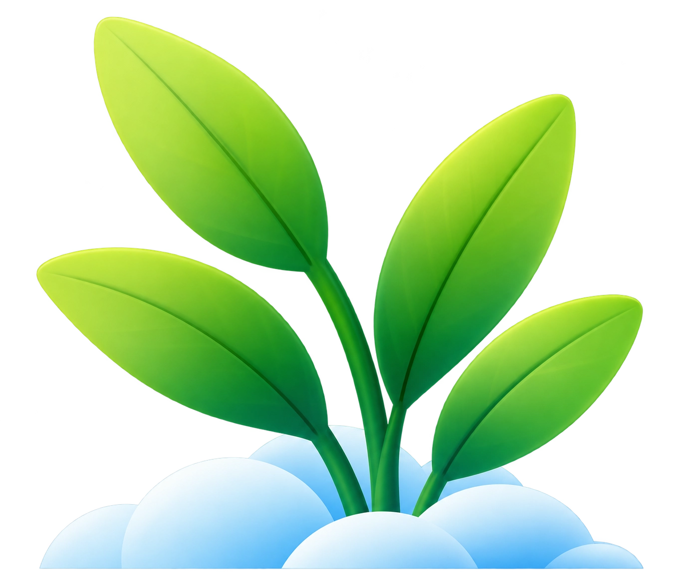Green sprout plant at base of privacy shield